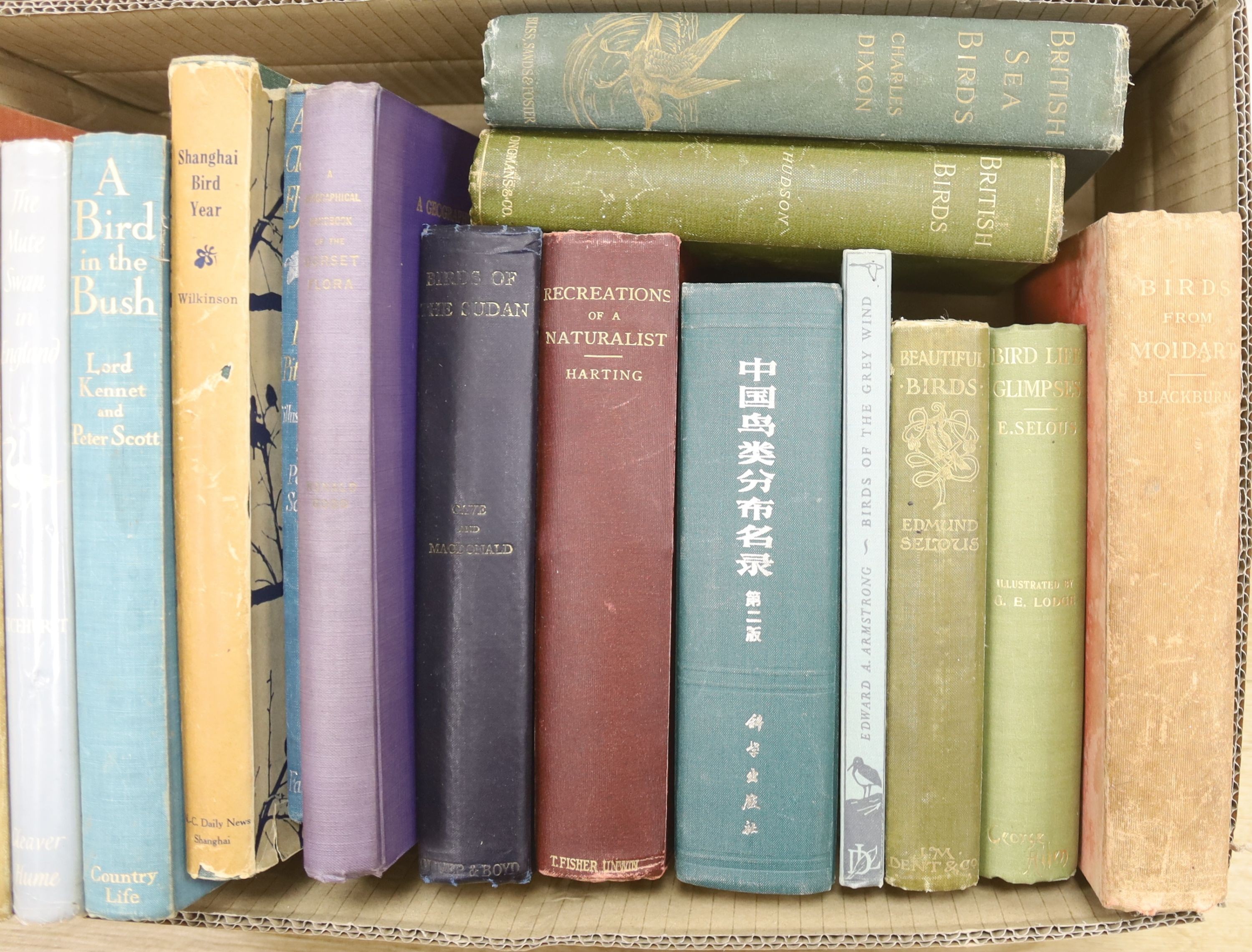 Ornithology and Natural History - A miscellany of approximately 33 volumes, in 2 boxes
